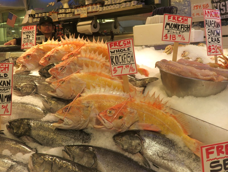 Washington rockfish on ice