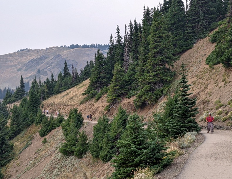 Me walking on evergreen-lined trail