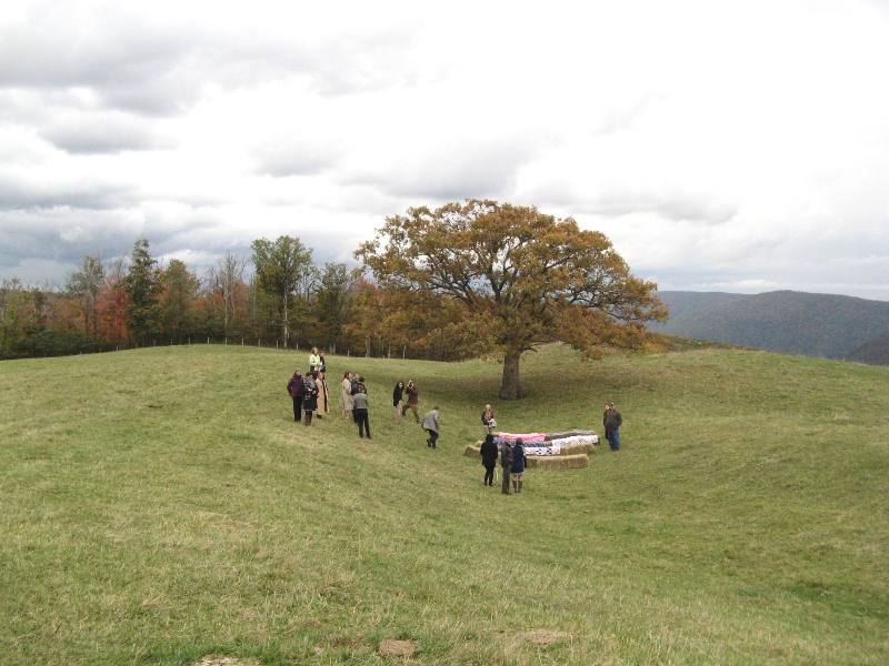 Field, guests, and a few hay bales