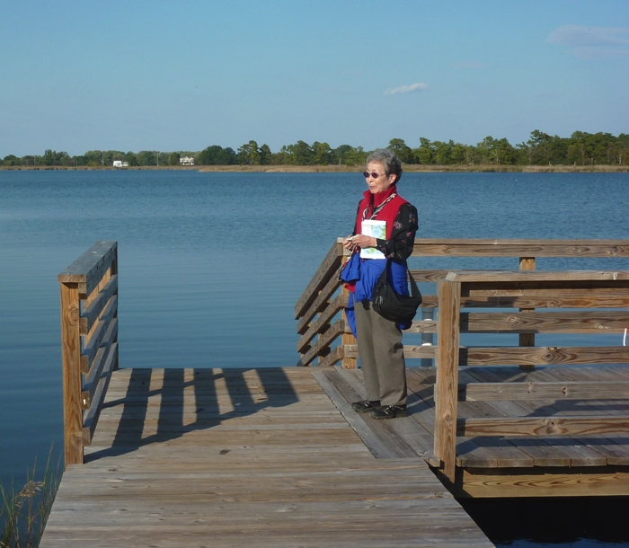 Mom looking at the water from the boardwalk