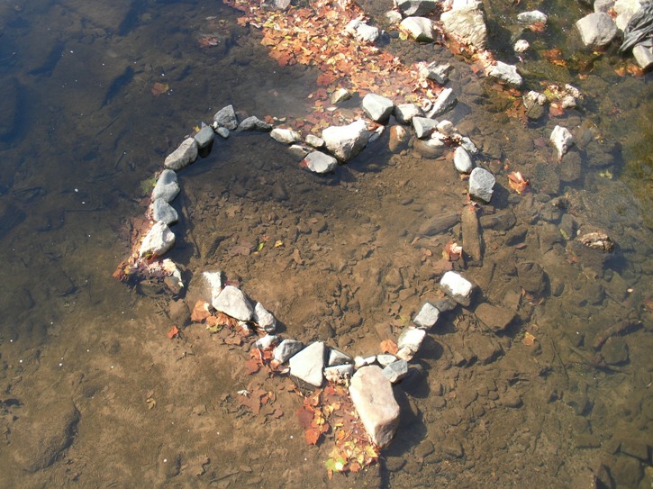 Rocks arranged in the shape of a heart