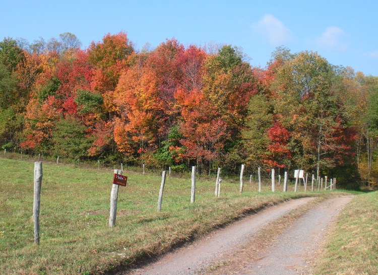 Fall colors at the farm