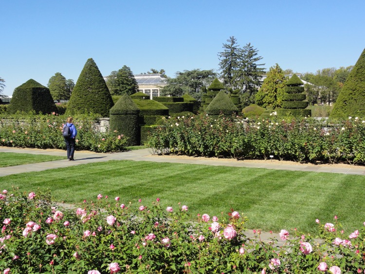 Precisely manicured hedges