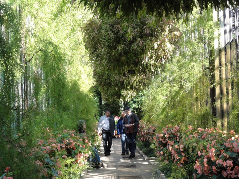 Hanging plants, a jungle-like atmosphere, and small group walking through