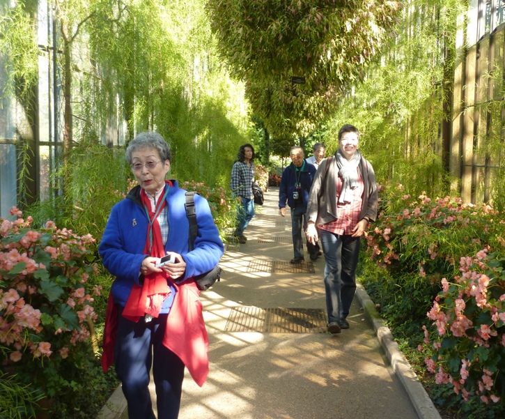 Group walking through a tunnel of greenery