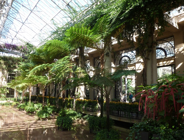 The glass roof of the conservatory lets in a lot of light