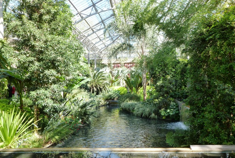 Man-made pond lined with plants