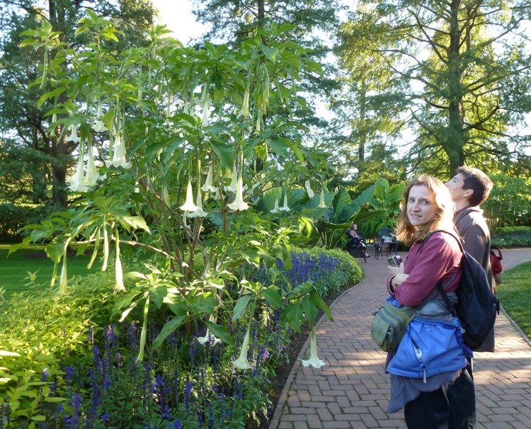 Norma and Angelika with angel's trumpet flowers