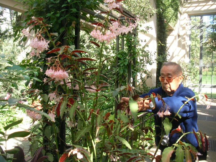 Dad taking a picture of a plant