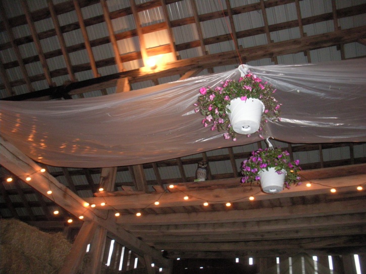 Plastic painters tarp and plants hung high in barn