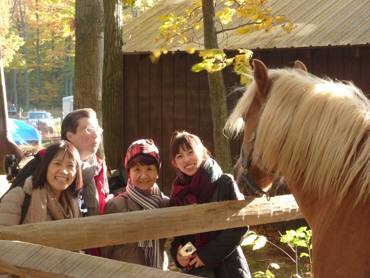 Ikuyo, Angelika, Hitomi, and Sonomi contemplate taking the horse out for a ride