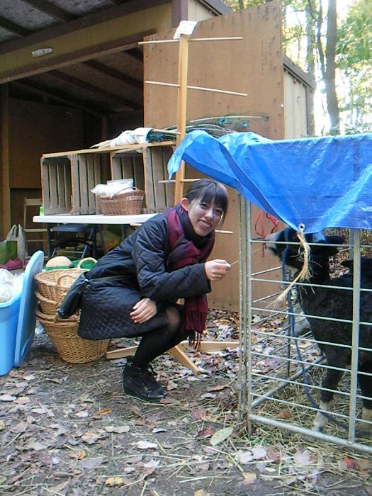 Sonomi tries to feed the goat