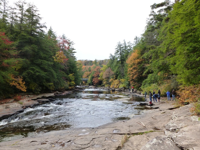 Rocky shores upstream