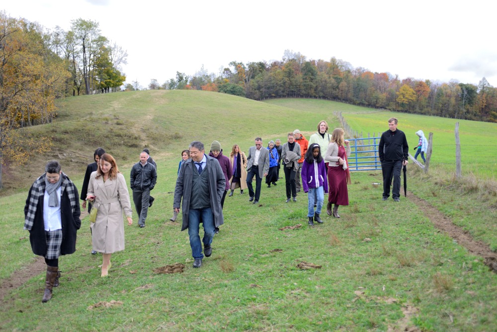 Several people walking through the cow pasture