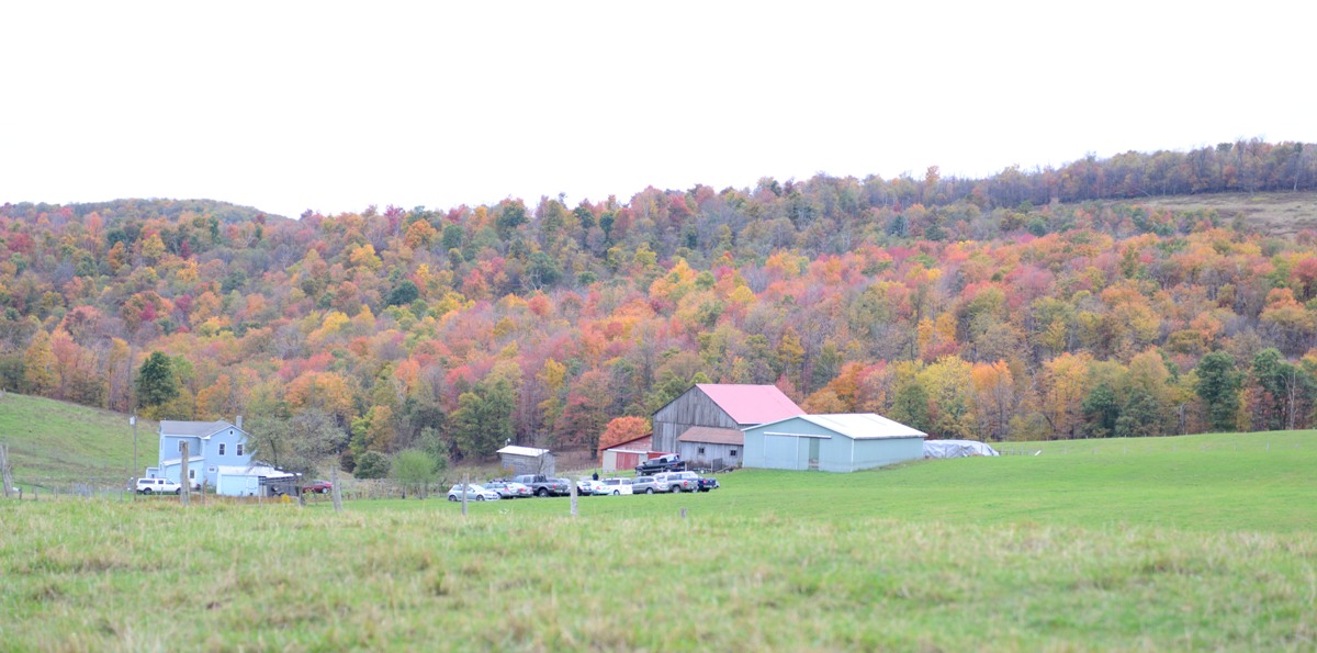 Fall colors at the farm