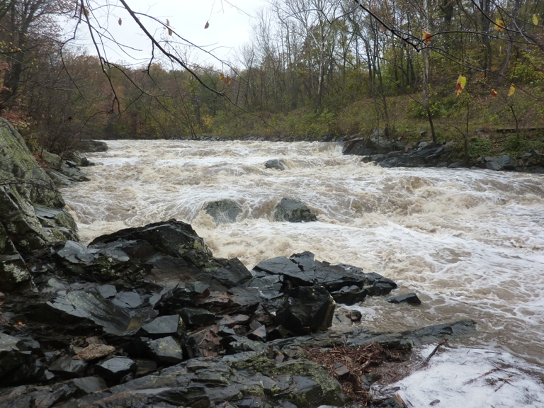 Little Patuxent River after a heavy rain