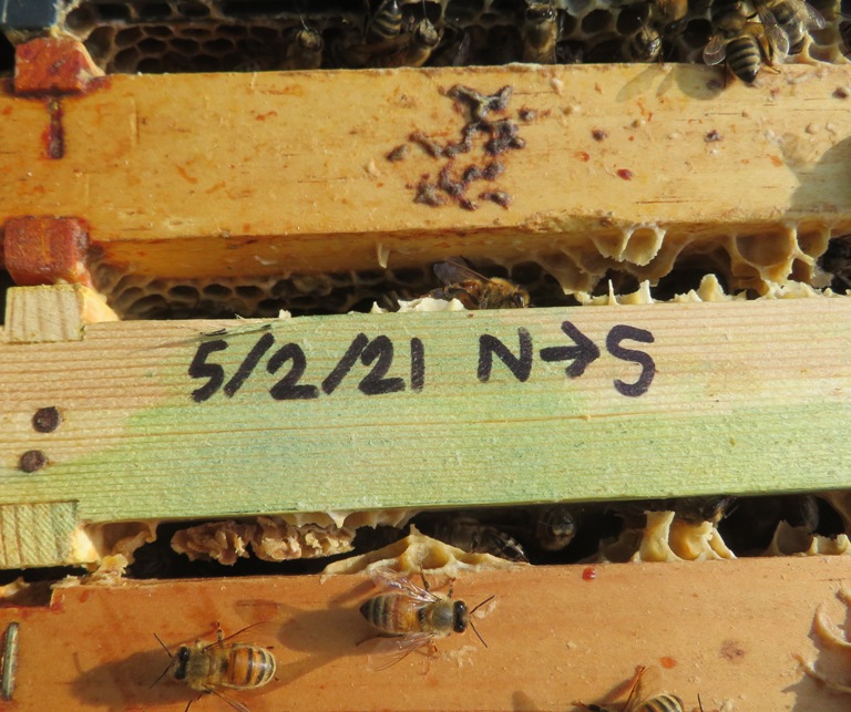 Frame transferred from north to south hive