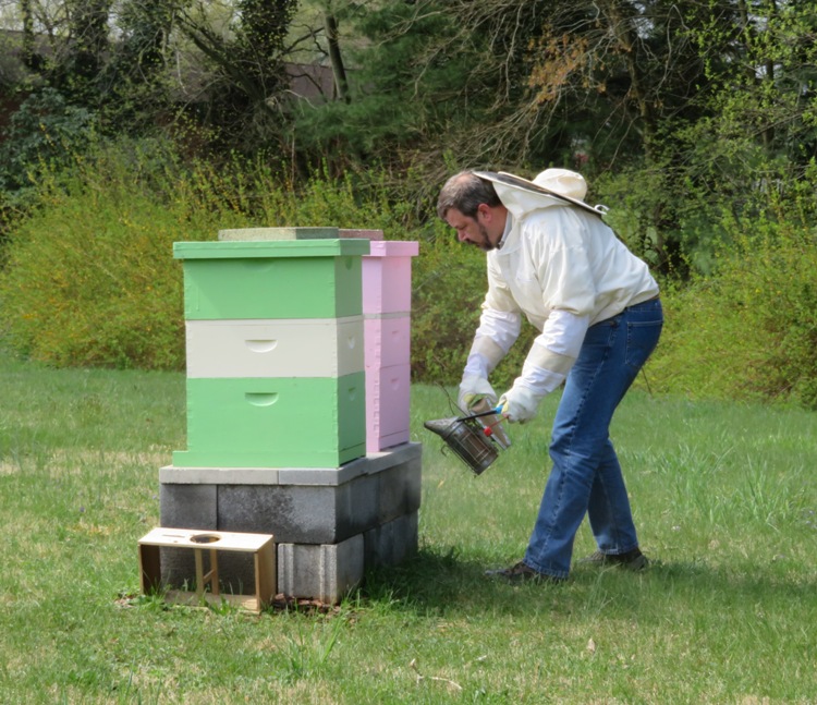 Robert smoking hives