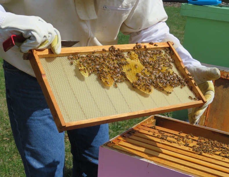 Comb on frame built away from foundation