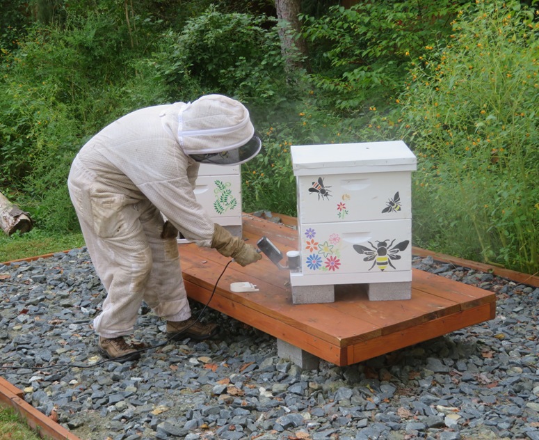 Eric applying oxalic acid dihydrate to my hives