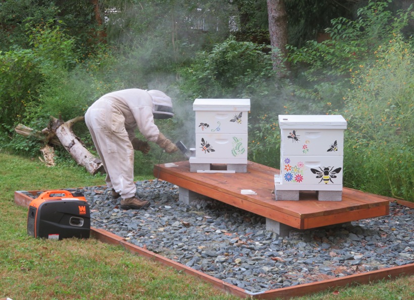 Eric uses a generator to power his ProVap 110