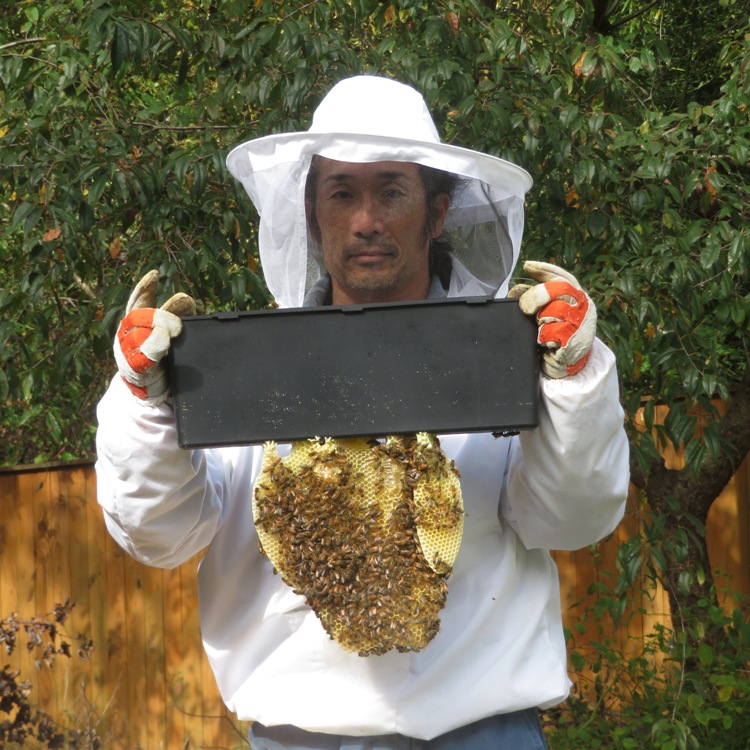 Me holding frame feeder with burr comb attached