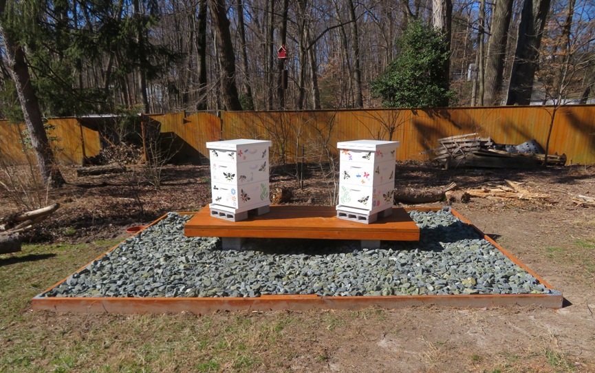 Foundation, platform, and hives