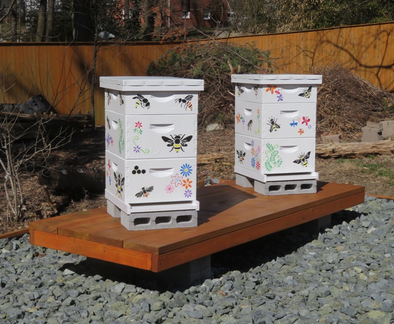 Hives and hive stand in the morning sun