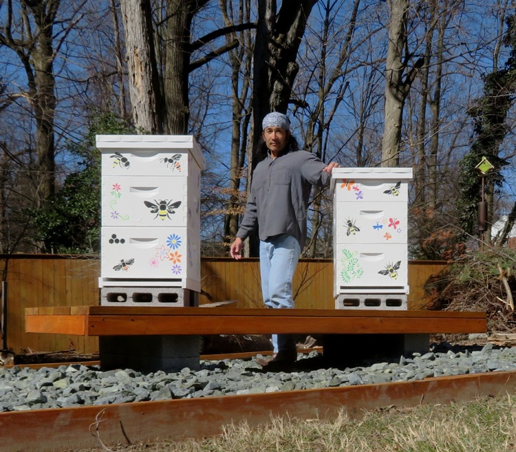 Hives and hive stand in the morning sun