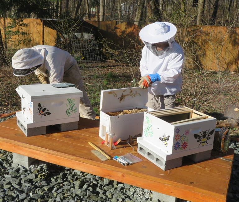 Both hives, north open