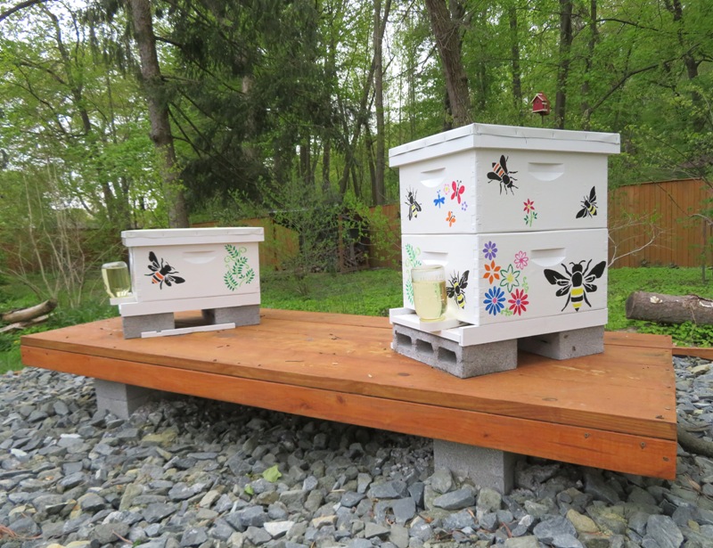 North hive with two deeps