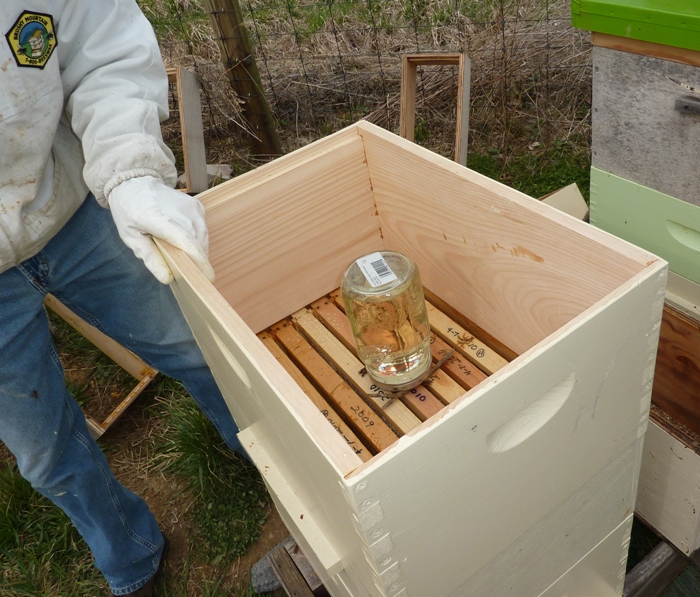 Feeder jar above frames in box