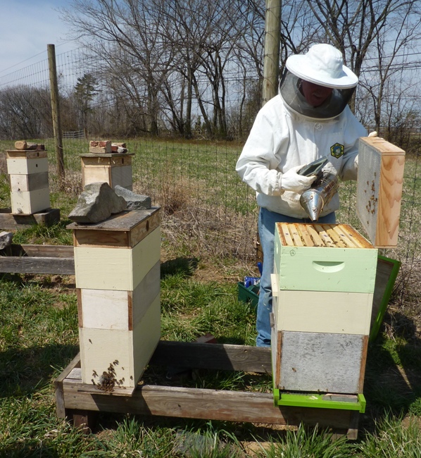 Charlie smoking an open hive