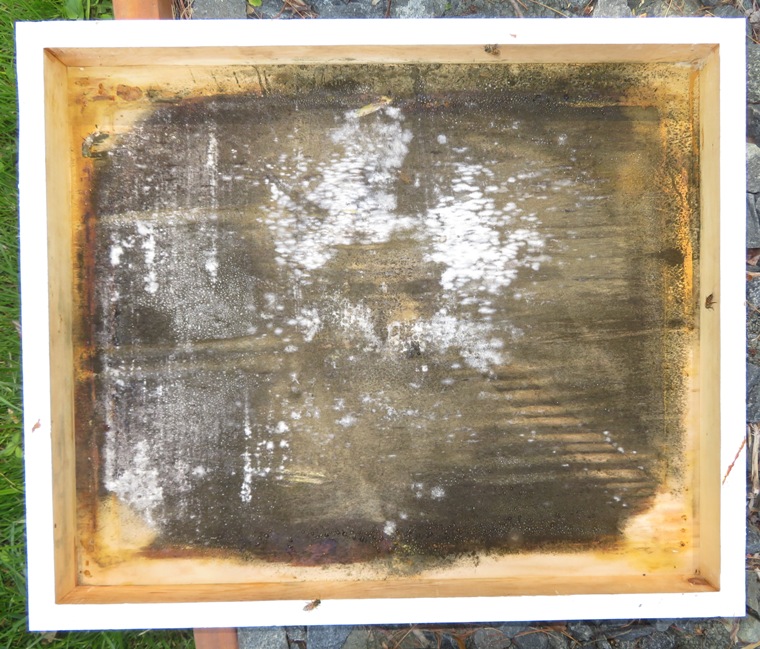 Mold growth on the inboard side of the telescoping top cover