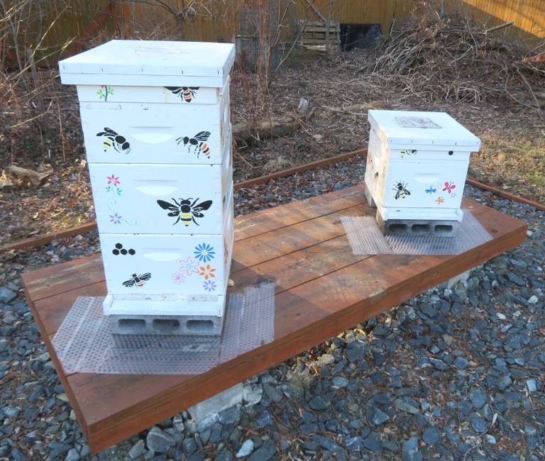 Bird Defender Spike Strips around hive entrances