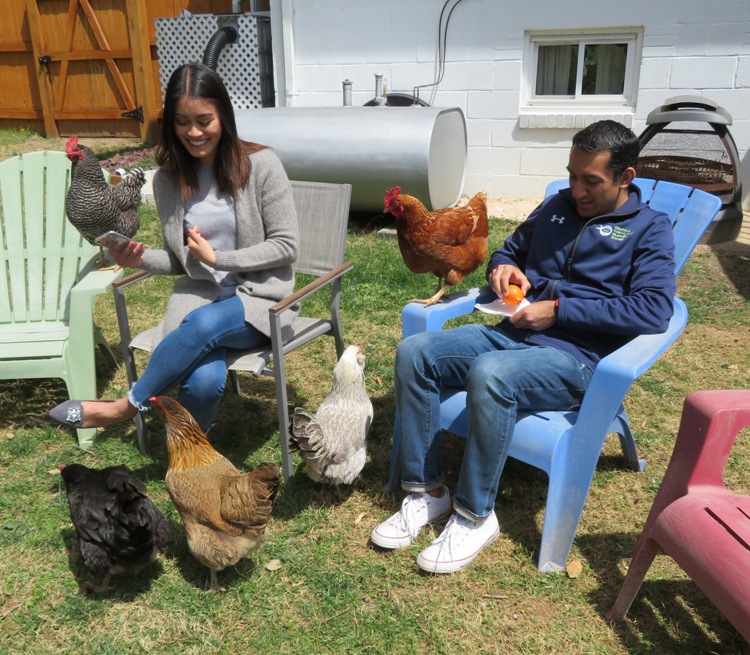 Wahab and friend sit with the chickens