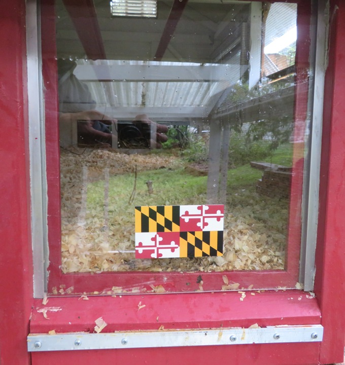 Acrylic coop door down