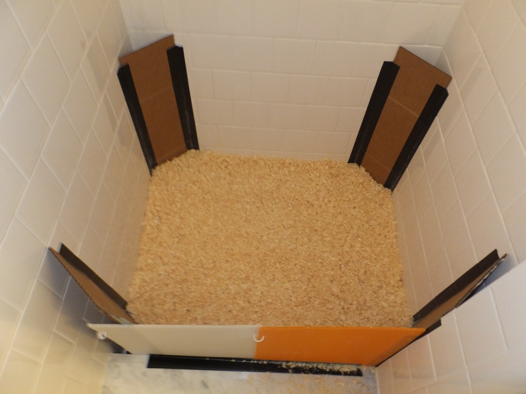 Pine shavings on shower floor