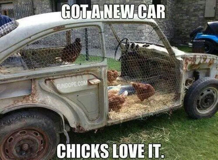 Beat up car turned into chicken coop