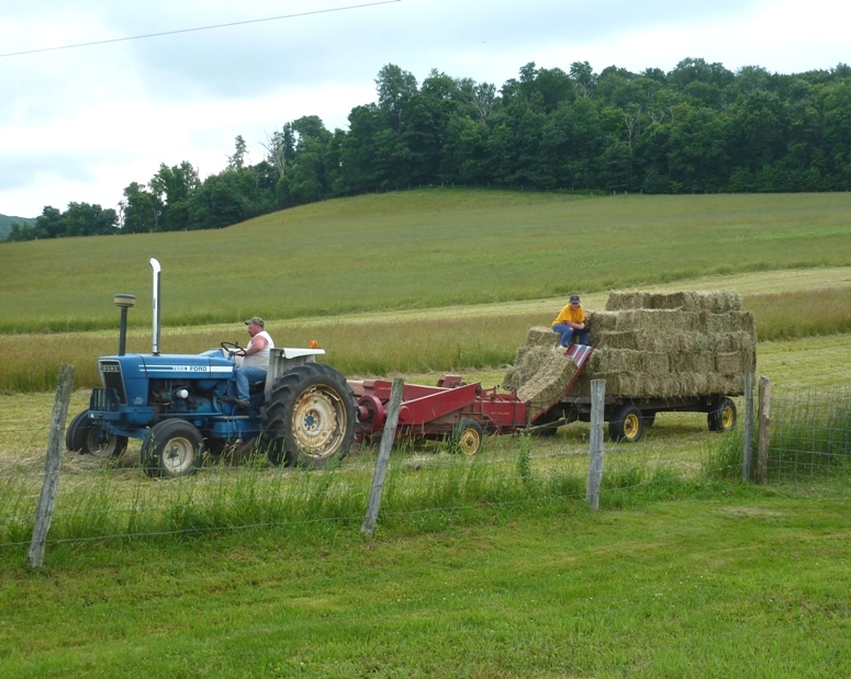 Making hay on the farm