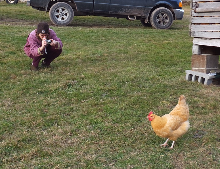 Norma taking a photo of a Blondie