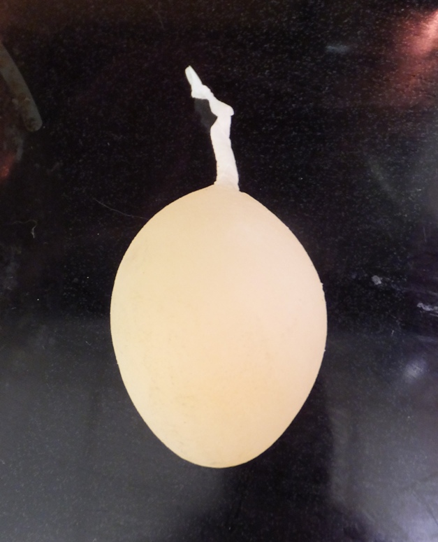 Egg with something that looks like an umbilical cord attached