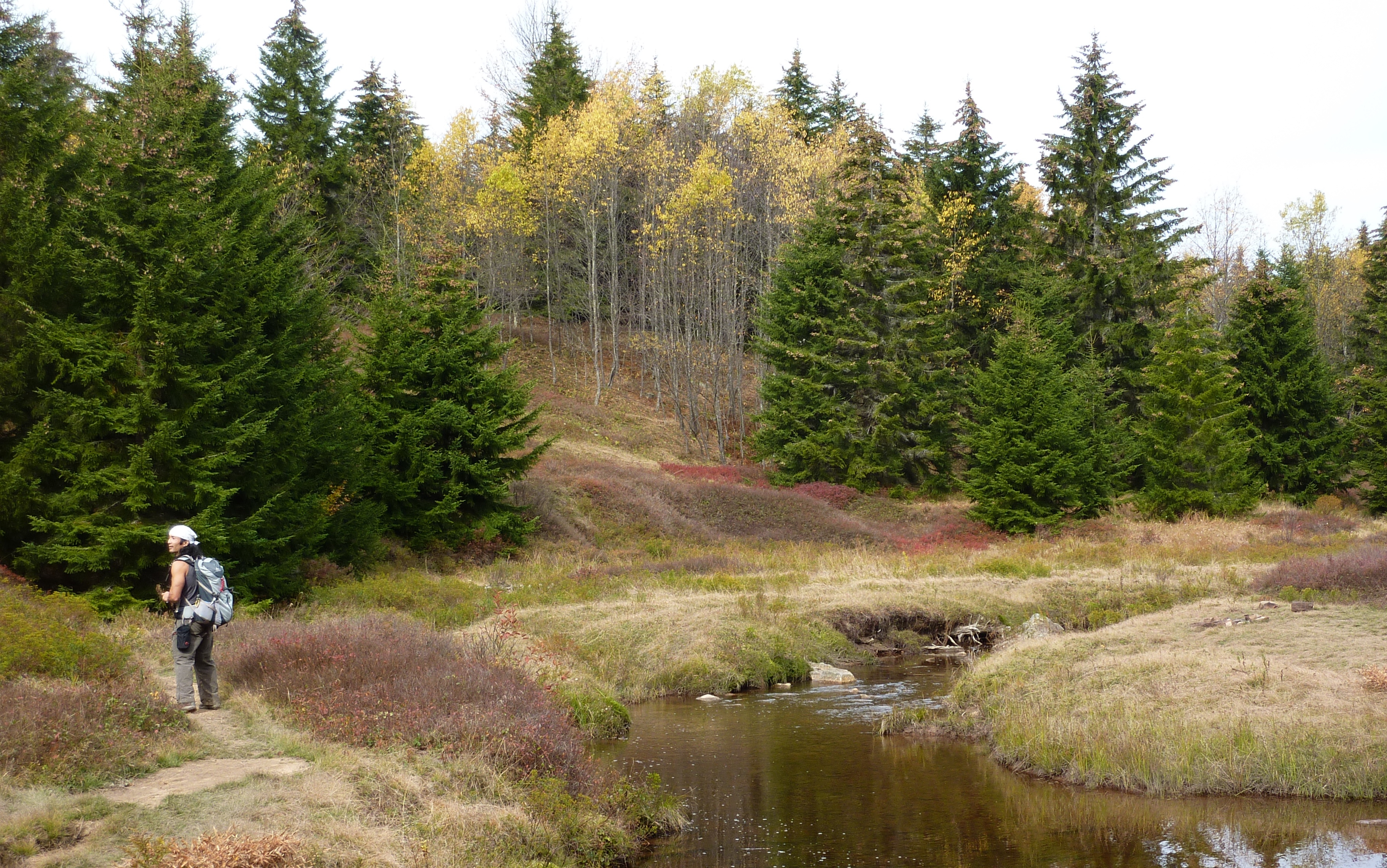 Me hiking in Dolly Sods Wilderness on October 10, 2011