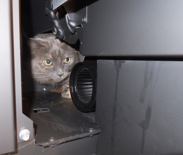 Asha looking at the inner parts of the pellet stove