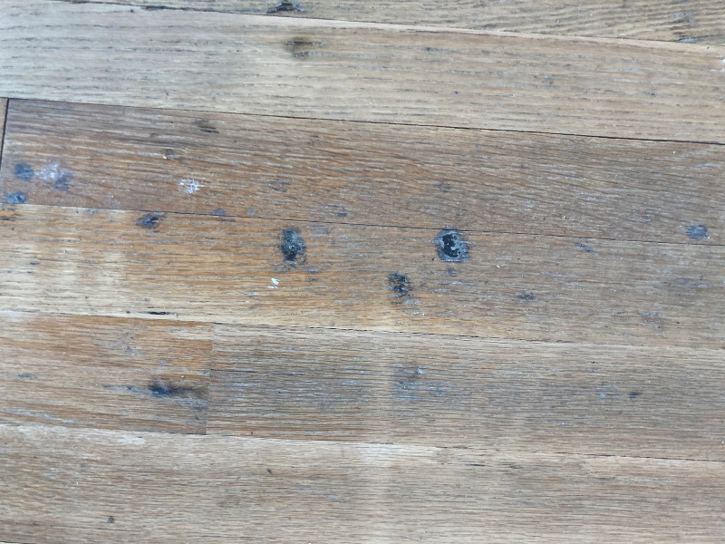 Close-up of hardwood floor