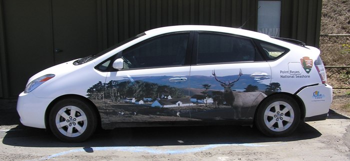 Compact car painted with nature scene