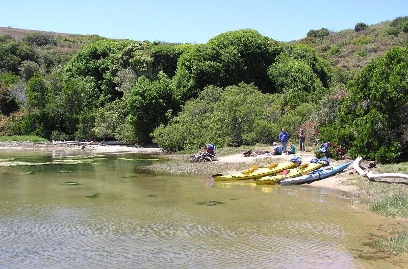 On the shore eating lunch by kayaks