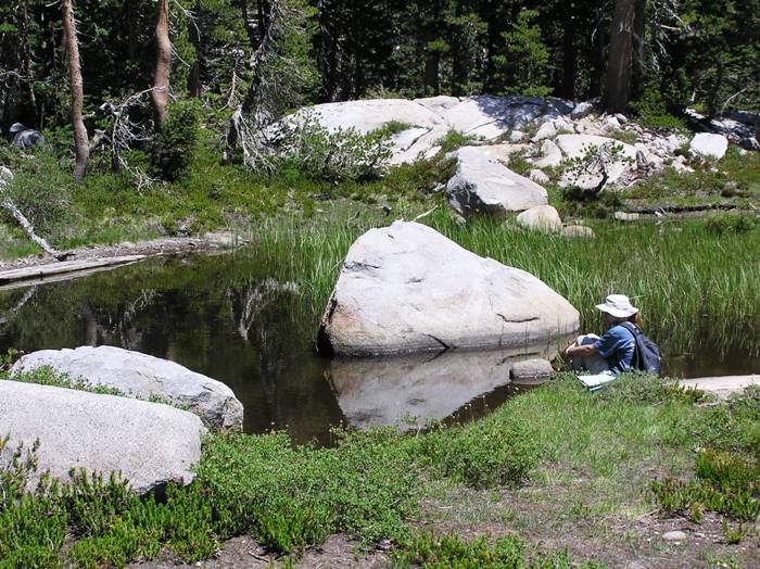 Norma sitting by a small body of water