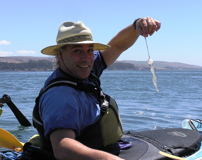 Steve holding a small, white thing will a ball on top