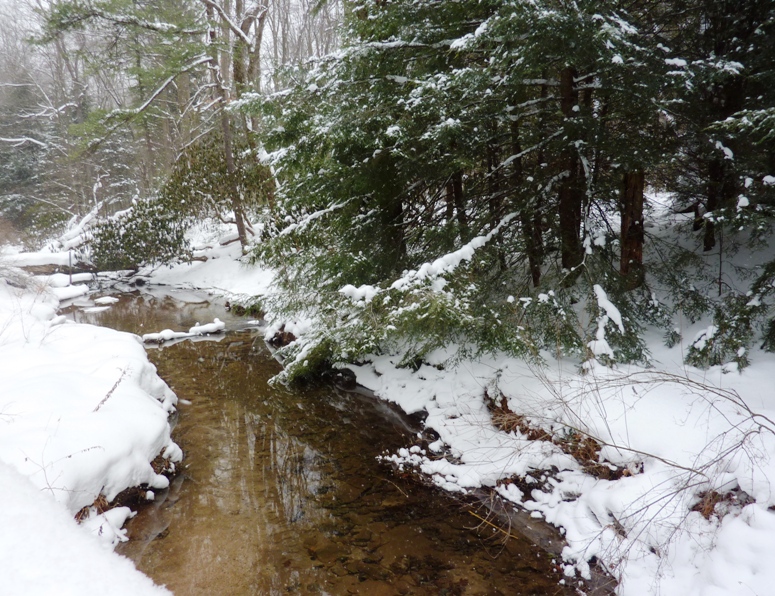 Snow-bordered creek